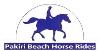 Pakiri Beach Horse Rides  image 5
